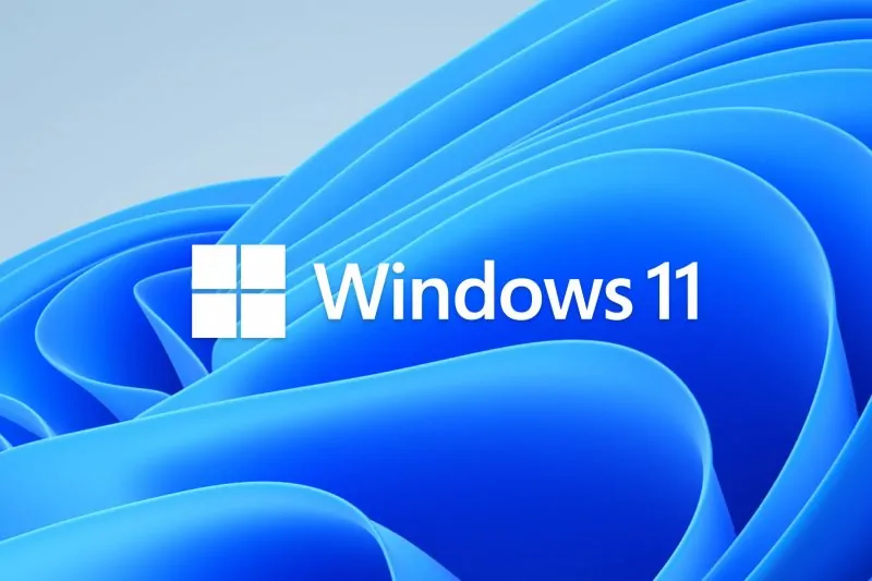 Windows-11-Hero-Bloom-Logo.jpg Windows-11-Hero-Bloom-Logo.jpg